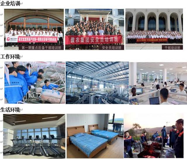 必赢bwin线路检测中心