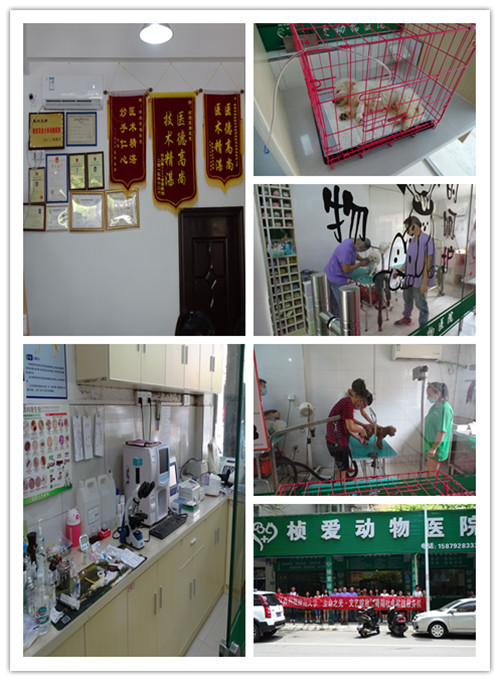 必赢bwin线路检测中心