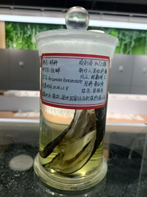 必赢bwin线路检测中心