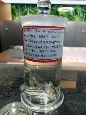 必赢bwin线路检测中心