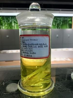 必赢bwin线路检测中心