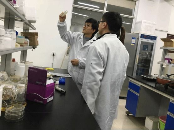 必赢bwin线路检测中心