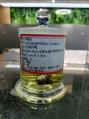 必赢bwin线路检测中心